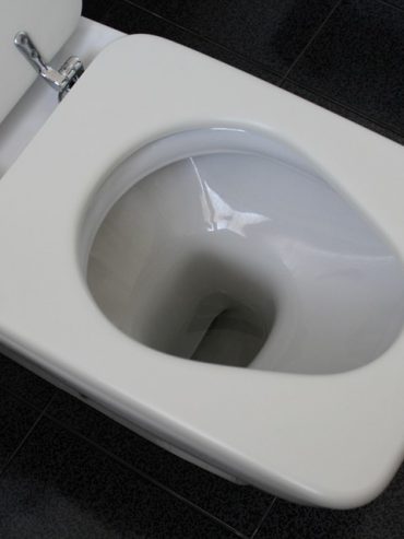 ome scegliere il sedile WC adatto al tuo bagno