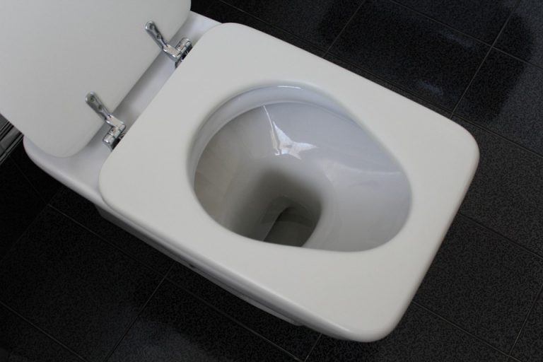 ome scegliere il sedile WC adatto al tuo bagno