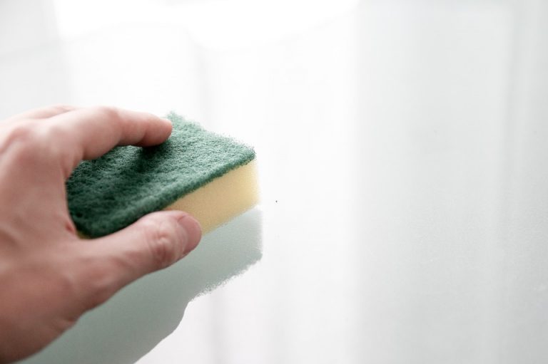 I migliori metodi per igienizzare e lucidare il bidet