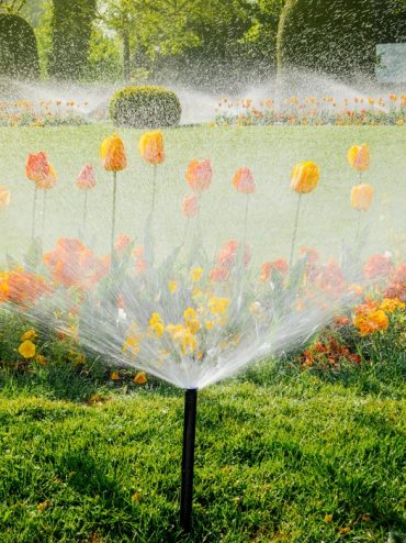 Bonus Verde con i sistemi di irrigazione Rain