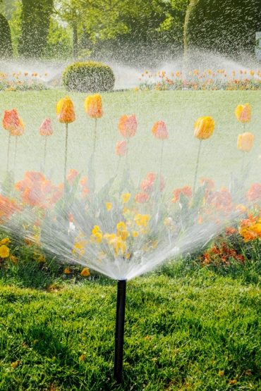 Bonus Verde con i sistemi di irrigazione Rain