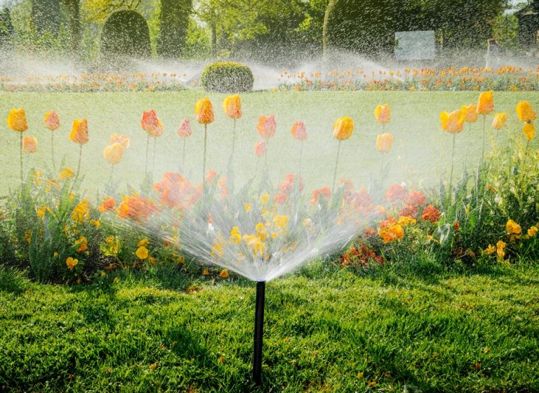 Bonus Verde con i sistemi di irrigazione Rain