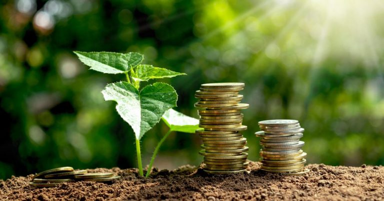 Bonus verde 2021 come funziona e quali sono i vantaggi